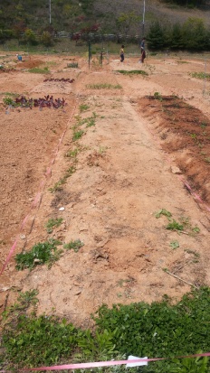 À̹ÌÁö½æ³×ÀÏ 58x58