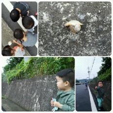 À̹ÌÁö½æ³×ÀÏ 58x58