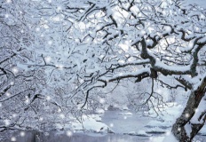 À̹ÌÁö½æ³×ÀÏ 58x58