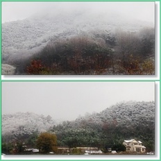 À̹ÌÁö½æ³×ÀÏ 58x58