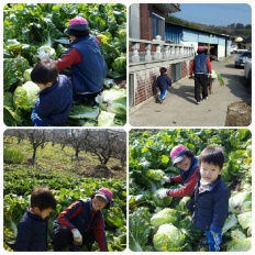 À̹ÌÁö½æ³×ÀÏ 58x58