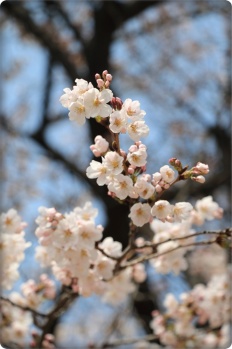 À̹ÌÁö½æ³×ÀÏ 58x58