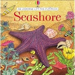 Seashore (Usborne Lift the Flap Learner)