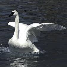 À̹ÌÁö½æ³×ÀÏ 58x58