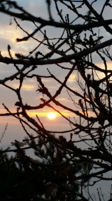 À̹ÌÁö½æ³×ÀÏ 58x58