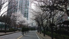 À̹ÌÁö½æ³×ÀÏ 58x58