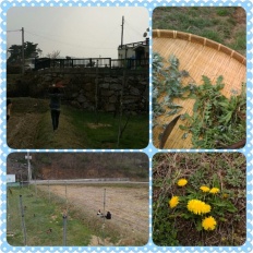 À̹ÌÁö½æ³×ÀÏ 58x58