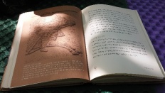 À̹ÌÁö½æ³×ÀÏ 58x58