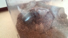 À̹ÌÁö½æ³×ÀÏ 58x58