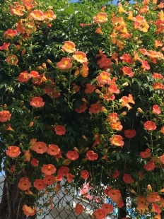 À̹ÌÁö½æ³×ÀÏ 58x58