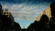 À̹ÌÁö½æ³×ÀÏ 58x58