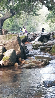 À̹ÌÁö½æ³×ÀÏ 58x58