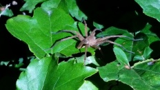 À̹ÌÁö½æ³×ÀÏ 58x58