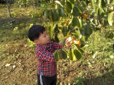 À̹ÌÁö½æ³×ÀÏ 58x58