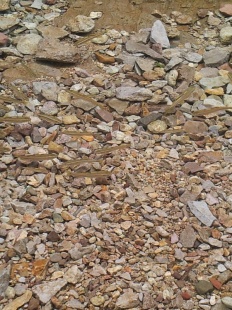 À̹ÌÁö½æ³×ÀÏ 58x58