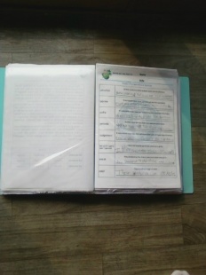 À̹ÌÁö½æ³×ÀÏ 58x58