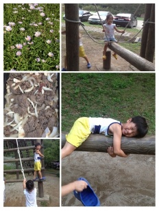 À̹ÌÁö½æ³×ÀÏ 58x58