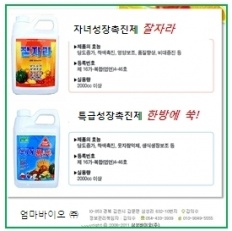 À̹ÌÁö½æ³×ÀÏ 58x58