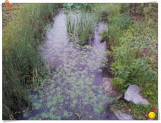 À̹ÌÁö½æ³×ÀÏ 58x58