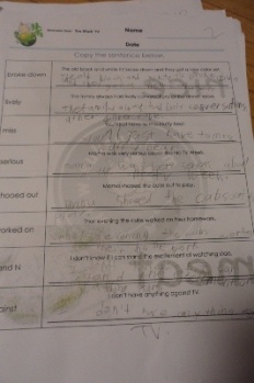 À̹ÌÁö½æ³×ÀÏ 58x58