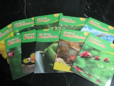 À̹ÌÁö½æ³×ÀÏ 58x58