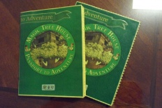 À̹ÌÁö½æ³×ÀÏ 58x58