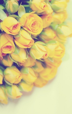 À̹ÌÁö½æ³×ÀÏ 58x58