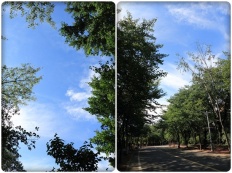 À̹ÌÁö½æ³×ÀÏ 58x58