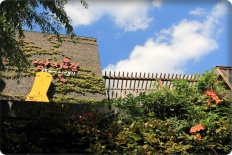 À̹ÌÁö½æ³×ÀÏ 58x58