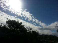 À̹ÌÁö½æ³×ÀÏ 58x58