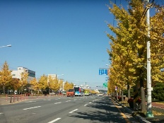 À̹ÌÁö½æ³×ÀÏ 58x58