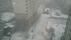 À̹ÌÁö½æ³×ÀÏ 58x58