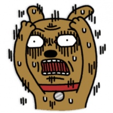 À̹ÌÁö½æ³×ÀÏ 58x58