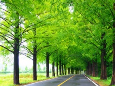 À̹ÌÁö½æ³×ÀÏ 58x58