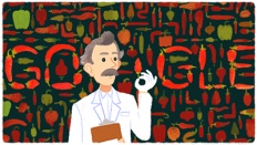 À̹ÌÁö½æ³×ÀÏ 58x58