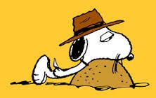 À̹ÌÁö½æ³×ÀÏ 58x58