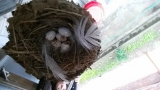 À̹ÌÁö½æ³×ÀÏ 58x58