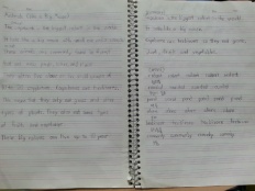 À̹ÌÁö½æ³×ÀÏ 58x58