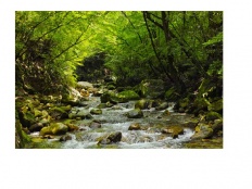 À̹ÌÁö½æ³×ÀÏ 58x58