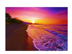 À̹ÌÁö½æ³×ÀÏ 58x58