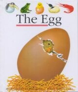 À̹ÌÁö½æ³×ÀÏ 58x58