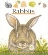 À̹ÌÁö½æ³×ÀÏ 58x58