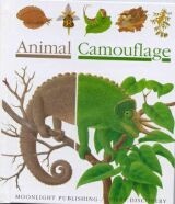 À̹ÌÁö½æ³×ÀÏ 58x58