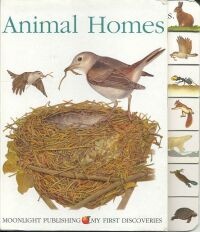 À̹ÌÁö½æ³×ÀÏ 58x58