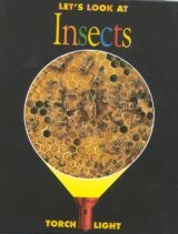 À̹ÌÁö½æ³×ÀÏ 58x58